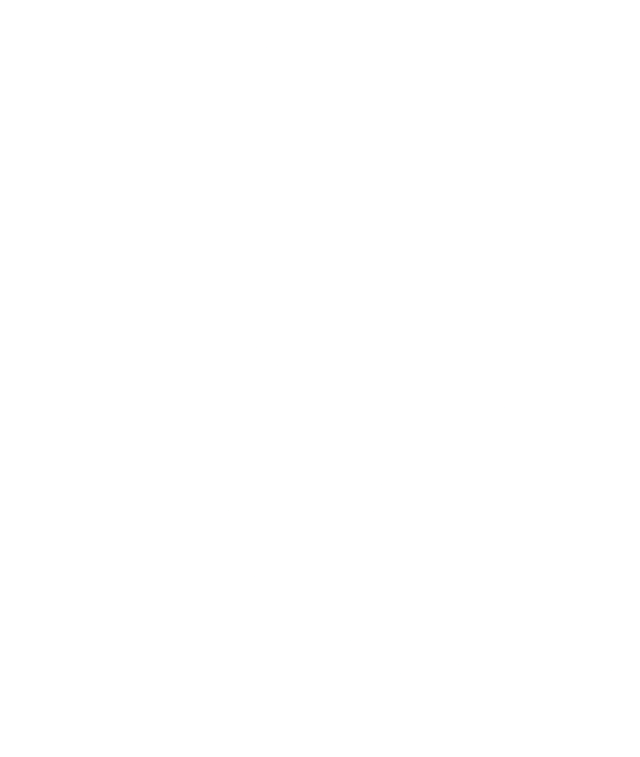 Hikari logo
